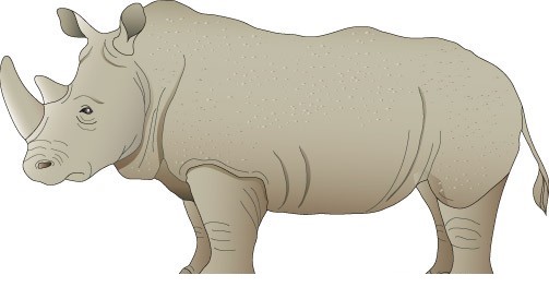 AN01007C.jpg