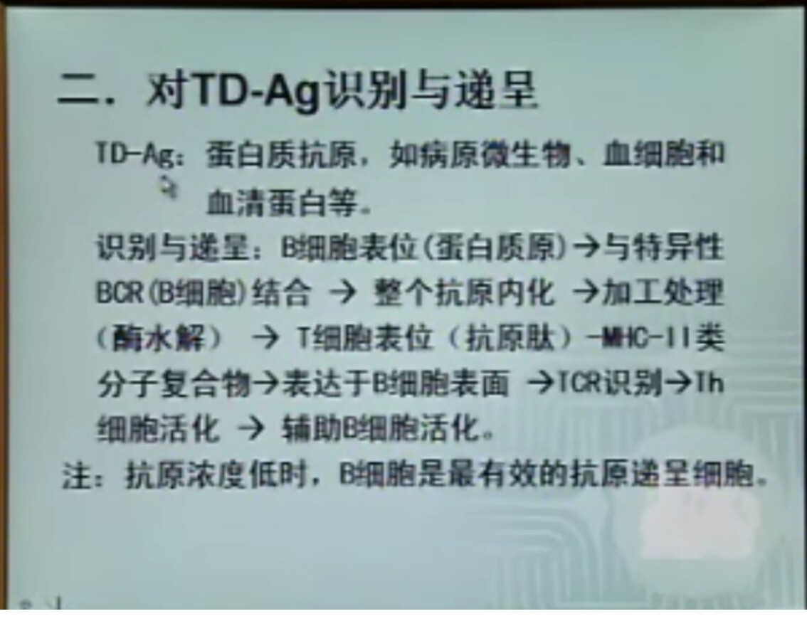 230318mhum226p1pm19vvz.jpg