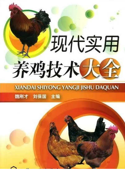QQͼƬ20190912072717.png