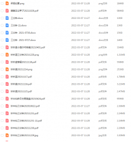 Snipaste_2022-03-07_11-30-57-258x300.png