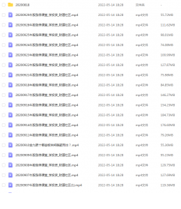Snipaste_2022-05-14_22-02-20-260x300.png