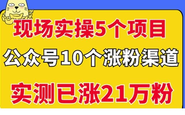 1-262xcsc5.jpg