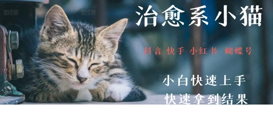 1748570762-744784-image.png