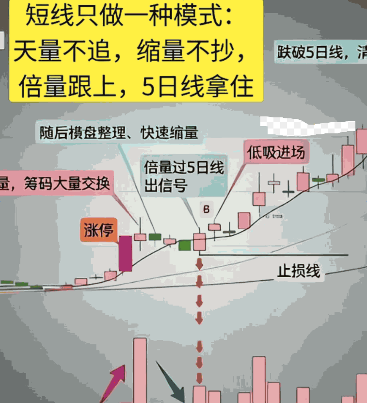 1790676768_screenshot.png
